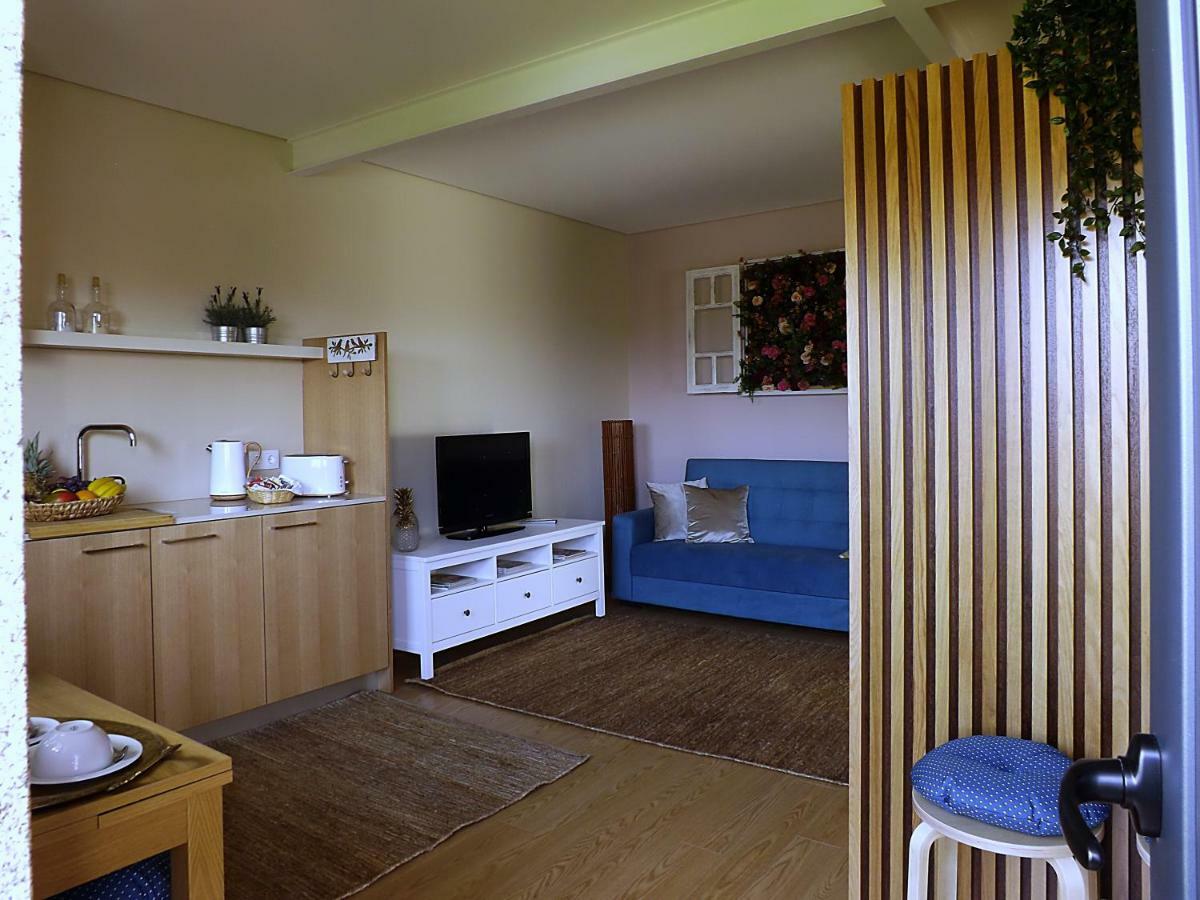 Casa Maximo Leilighet Penafiel Eksteriør bilde