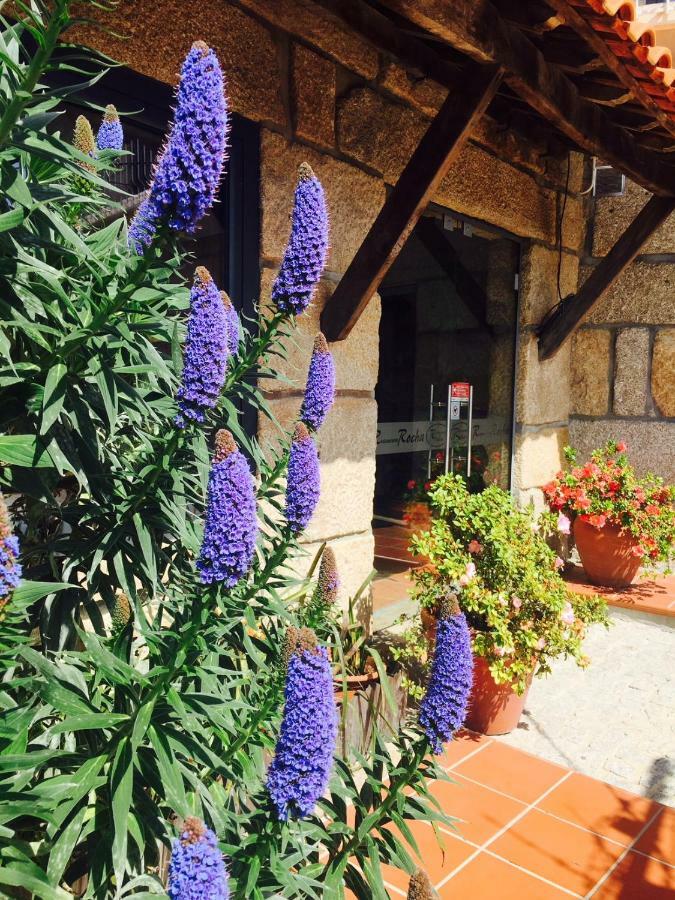 Casa Maximo Leilighet Penafiel Eksteriør bilde
